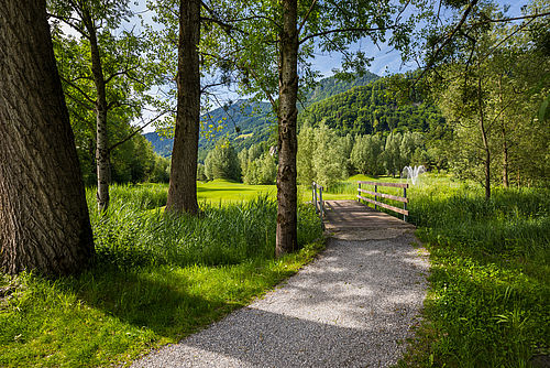Ein sonnenbeschienener Kiesweg schlängelt sich durch einen grünen Wald zum nächsten Abschlag mit hohen Bäumen und führt zu malerischen Bergen. Die Szene ist heiter und einladend.